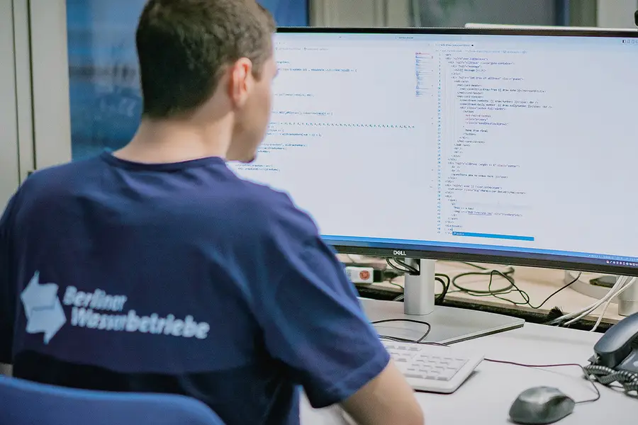 Fachinformatiker für Daten- und Prozessanalyse